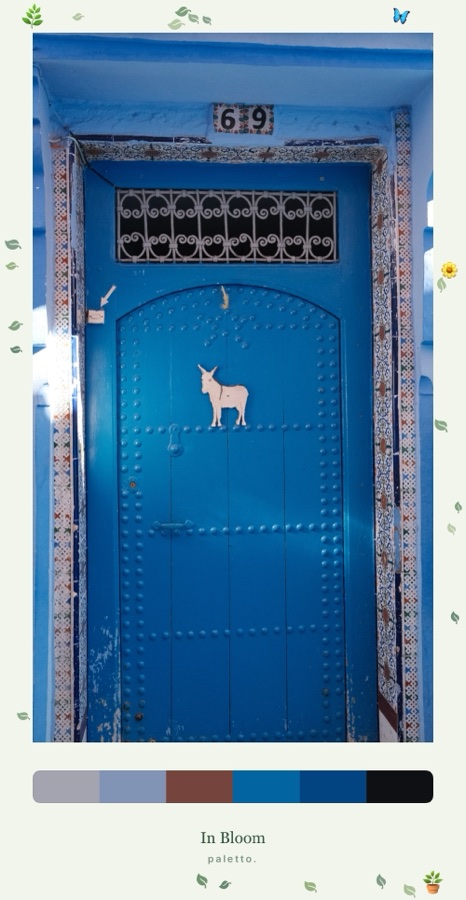 Blue door in a botanical frame