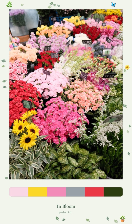 Flowers in a botanical frame