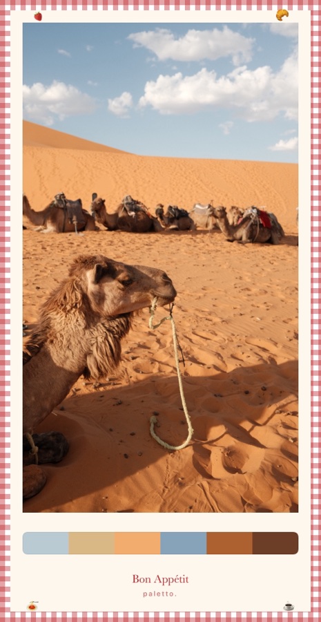 Camel in the Sahara in a gingham frame