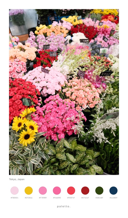 Tokyo flower stall with eight small dots and hex codes